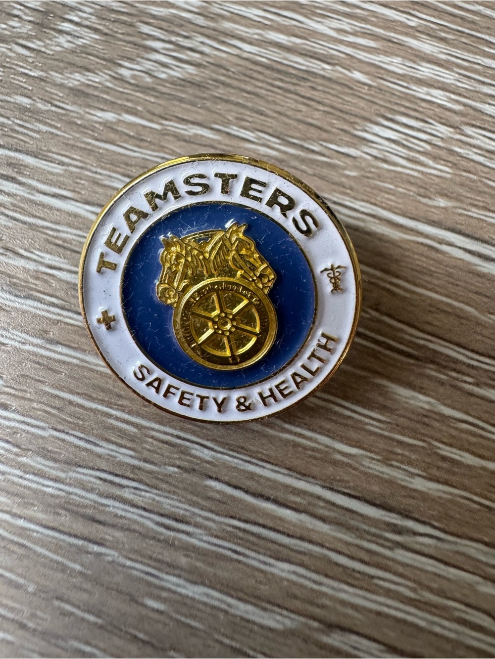 Unavailable Teamsters Safety & Health Pin